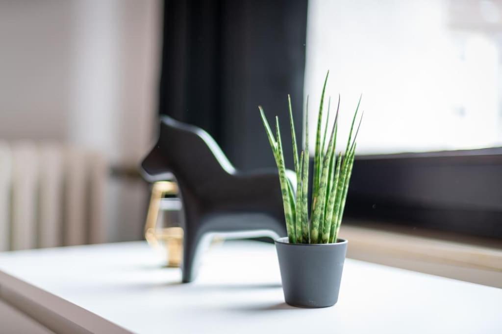 Zentrales - 2 Boxspringbetten - Netflix Kassel